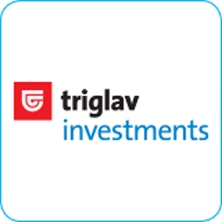 Triglav Investment
